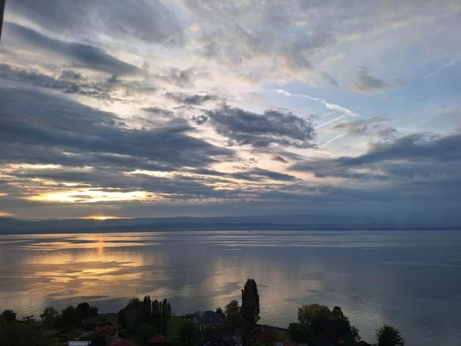 Appartement Avec Vue 180 Sur Le Lac Leman Тонон-ле-Бен Екстериор снимка